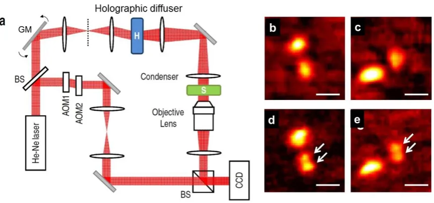 Figure 7. Schematics of DHM with sequential speckle illumination. (a) Experimental setup; (b)-(d) Phase maps of polystyrene beads (200nm diameter) under plane wave illumination (b-c) and speckle illumination(d-e)