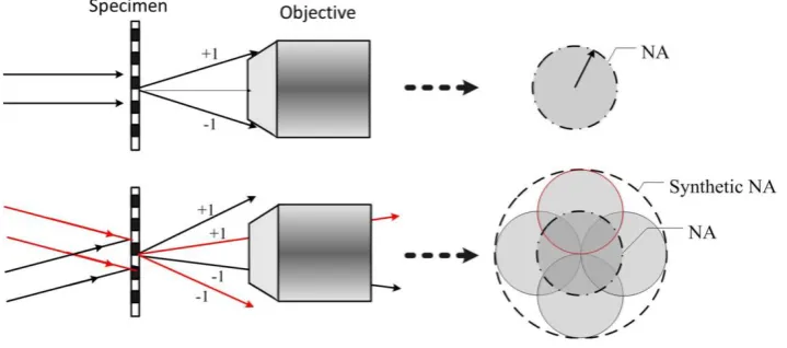 Figure 3. Schematics of oblique illumination and synthetic aperture generation. 