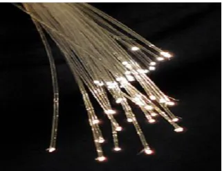 Fig. 3 bundle of optical fibers  