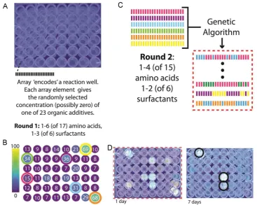 Figure 1.  conditions for genetic algorithm (GA) optimization. C) The GA generates 48 new reaction conditions based on the six parent reactions selected in round 1