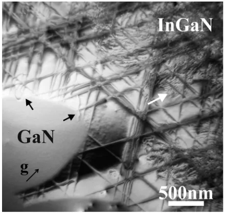 FIG. 5. Two-beam BF PV-TEM image of sample B, taken with gshowing misﬁt dislocations aligned along the 1120, and� h1100�i directions