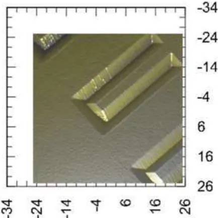 Figure 12:  of the cantilevers is not see due to the geometry of the Berkovich indenter used for imaging