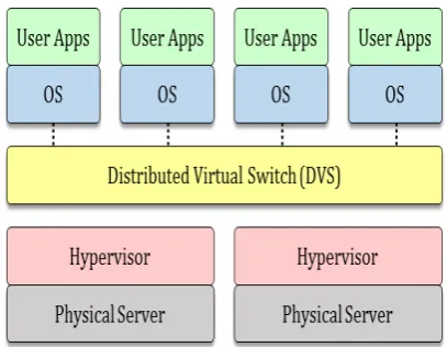 Fig.1. Illustration of distributed virtual switch(DVS)   