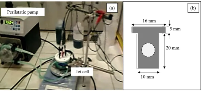 Figure 2. Optical image of the cell jet system (a). Working and Counter electrodes shape and dimensions (b)