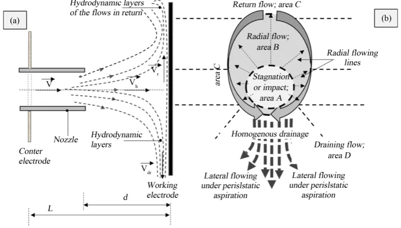 Figure 4. Scheme describing the flow characteristics areas; (a) profile and (b) front view