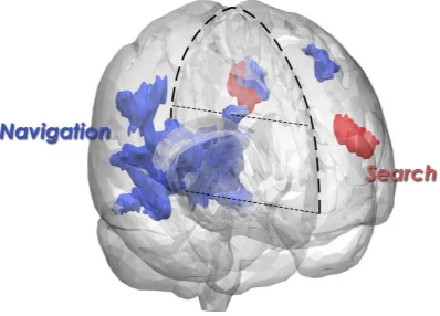 Figure 2. A 3D model illustrating bilateral posterior regions activated for folder navigation (blue), and left inferior frontal activation for search (red)