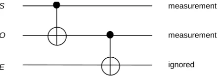 Figure 1. Setup describing the environment induced decoherence. 