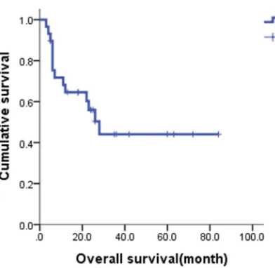 Table 2 Response to treatment between relapse patients and refractory patients