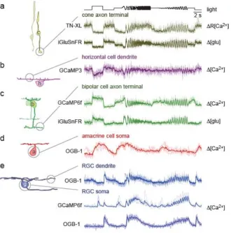Fig. 4. Example responses 