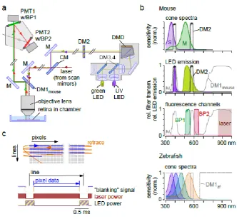 Fig. 5. Optical pathways 