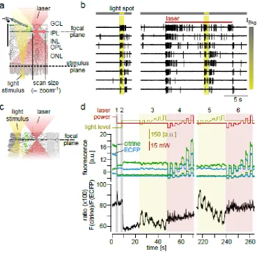 Fig. 6. 2P effects 