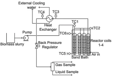 Fig. 1. Schematic layout of the continuous HTL reactor.