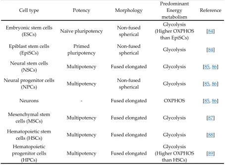 Table 1. Mitochondrial morphology and energy metabolism in various cell types 