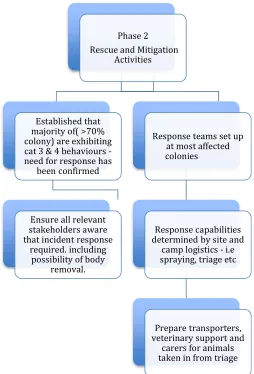 Figure 8.  Response flow chart to a phase 2 Rescue and Mitigation HSE  