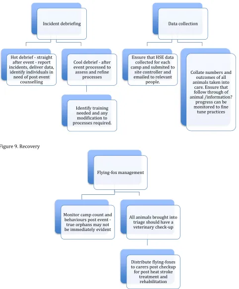 Figure 9. Recovery 