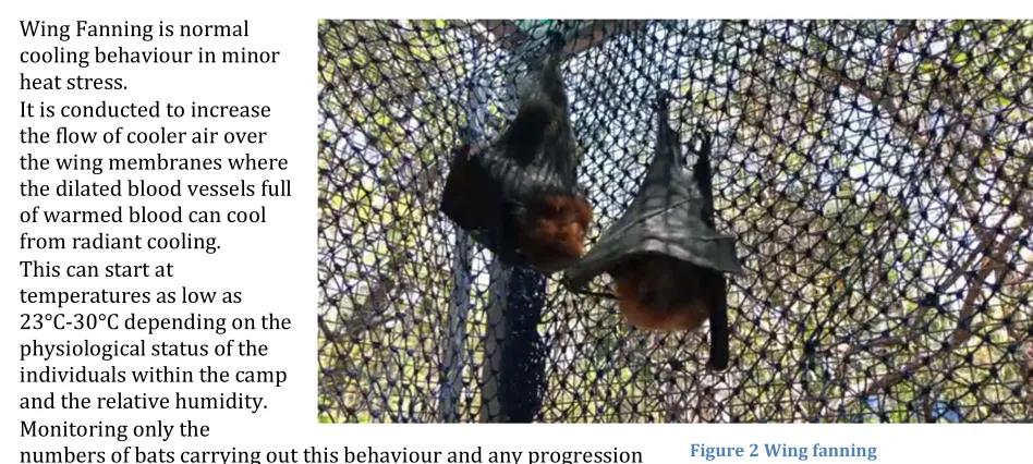 Figure 1 Normal behaviour 
