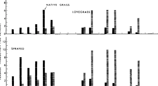 Fig. 3. Herbage production of native perennial grasses (solid bar) and Lehmann lovegrass (hatched bar) on sprayed and unsprayed areas