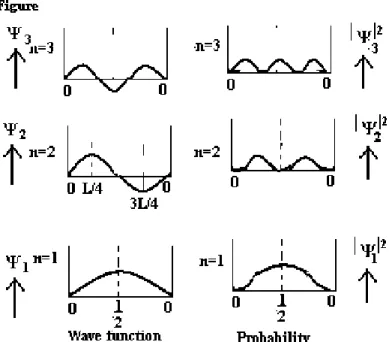 Fig: 4 Wave functions and probability density  