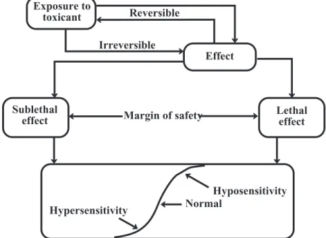 Figure 23.3.  Effects of and responses to toxic substances.