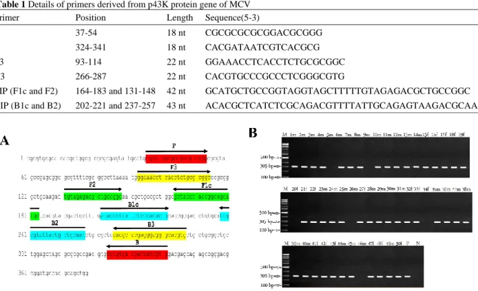 Table 1 Details of primers derived from p43K protein gene of MCV 