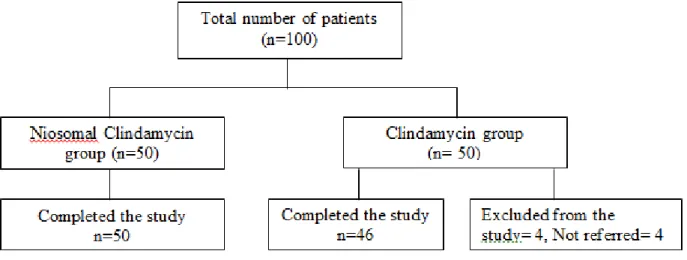 Figure 1 Study algorithm 