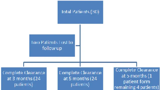 Table 1 Results of the study n=28 
