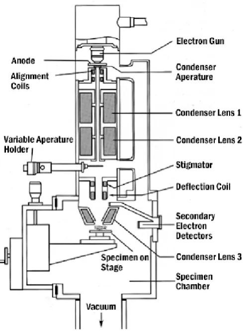 Figure (1.8), Scanning tunnelling microscope 