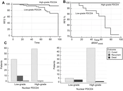 Figure 5 At Cox proportional-hazards regression analysis, only the loss of nuclearPDCD4 expression resulted to correlate with RFS.Abbreviations: PDCD4, programmed cell death 4; RFS, recurrence-free survival rate.