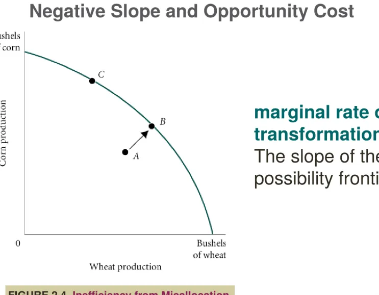 FIGURE 2.4   Inefficiency from Misallocation of Land in Farming