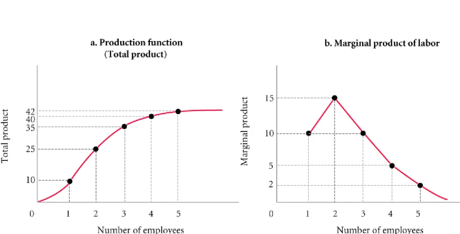 FIGURE 7.5 Production Function for Sandwiches