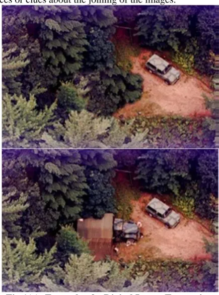Fig 1(a): Example of a Digital Image Tampering 