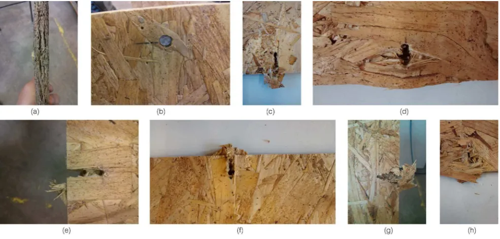 Table 1. The Lexperimental design. Grain orientation is investigated by repeatingthe experiments with a second orientation