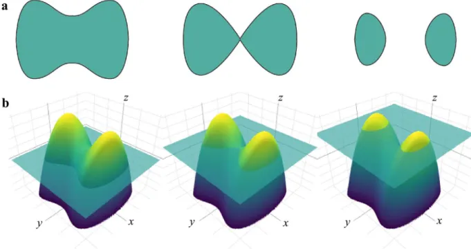 FIGURE 1. Illustration of the level-set method for numerical analysis of shapes and surfaces
