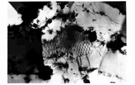 Fig. 3 - Typical microstructure taken by transmission at the electron microscope. (Plate N
