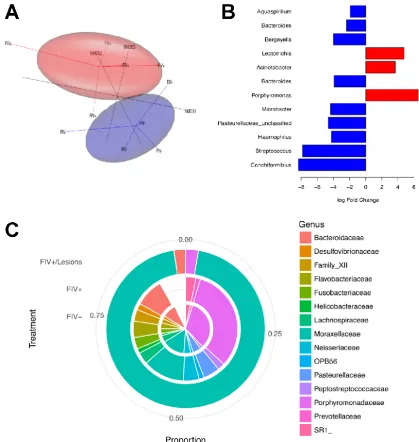 Figure 4. Salivary microbiome alterations during FIV infection Multidimensional Scaling (NMDS) separates clusters of FIV- and FIV+ cat microbiome samplesOvals represent the 90% confidence ellipsoids around the centroid of the clusters (FIV+ = red; FIV- = b
