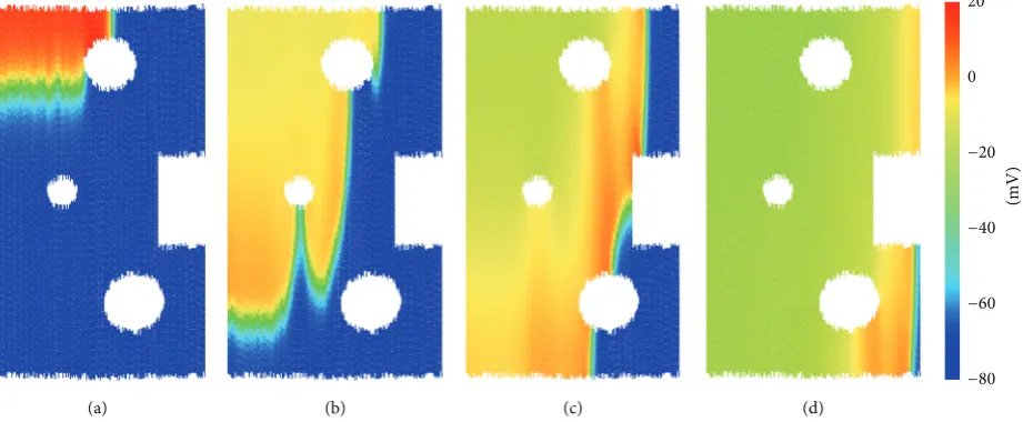 Figure 7 