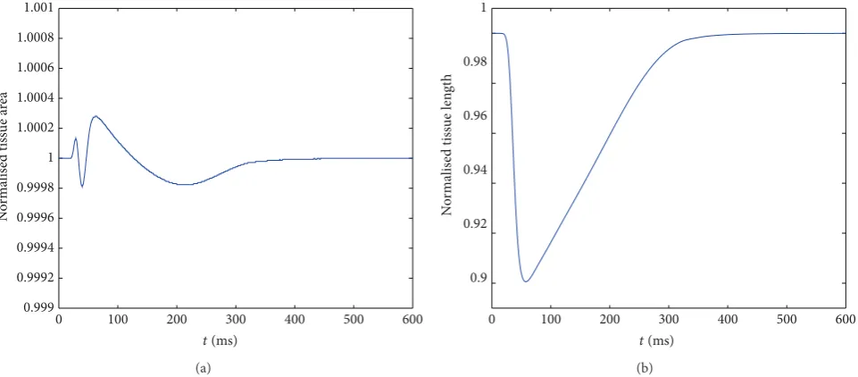 Figure 7: Full electromechanical model for a rectangular region of tissue. (a)(a)