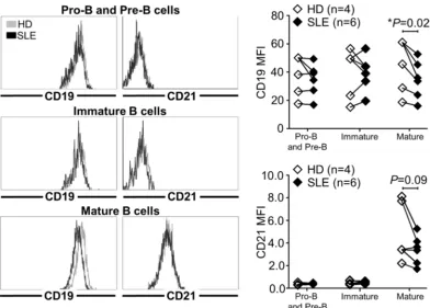 Figure 2. CD19 downregulation appeared concomitantly with CD21 expression on maturing B cells