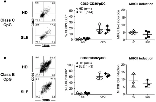Figure 5. Unaltered TLR9 responses in pDCs. (lation of sorted plasmacytoid dendritic cells (pDCs) from healthy donors (HDs) and untreated systemic lupus erythematosus (SLE) patients with class C CpG (A and B) Frequency of CD86+CD69+ cells and MHCII fold in