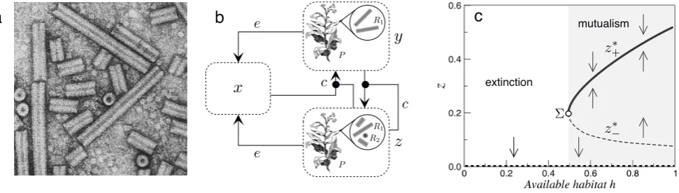 FIG. 7: Multipartite viruses include two or more genomic segments, encapsidated independently, and all required to completethe full life cycle of the virus