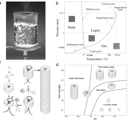 FIG. 2: Phase transitions in both physics and virus dynamics involve marked qualitative changes