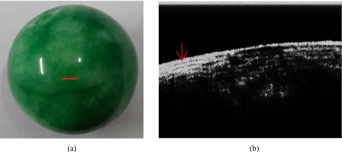 Figure 5. A real jadeite bead and its cross-section OCT image. 