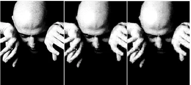 Figure 6: Original image, deterministic and heuristic compression