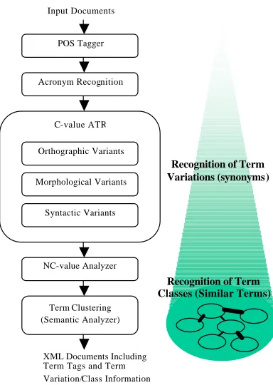 Figure 2. Term Ontology Development 