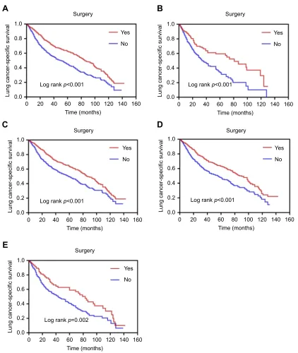 Figure 1 Survival curves based on Kaplan–Meier analysis comparing treatment with surgery versus non-surgery