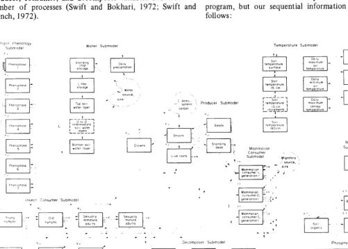 Fig. 3. Flow diagram of an ecosystem level model for grasslands; controls on flows are omitted for clarity