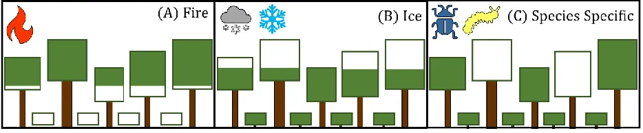 Figure 1. Hypothesis structural outcomes of different disturbance agents informed by previous studies