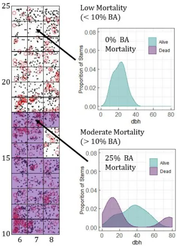 Figure A1. Illustration of hemlock mortality assignment (low in clear, moderate in purple) for the surveyed section of HF