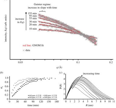 Figure 4. (a) The nucleation and growth of silica nanoparticles in solution as evidenced through the change in scatteringintensity in an in situ and time-resolved SAXS experiment; (b) time evolution of normalized scattering intensity at variousconditions; 