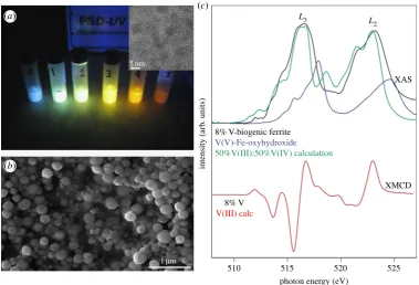 Figure 7. Environmental processes can be harnessed to create novel functional nanomaterials